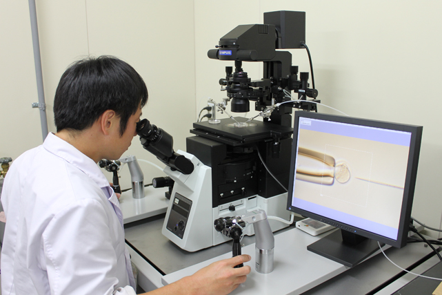 生殖工学に関する受託（マウス）１