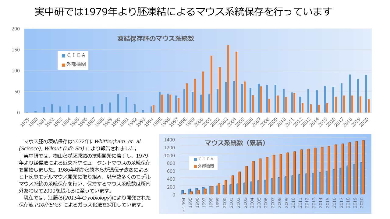 マウス資源集計