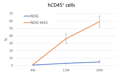 hCD45+ cells